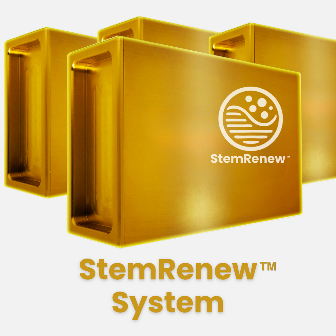 StemRenew(4/4)